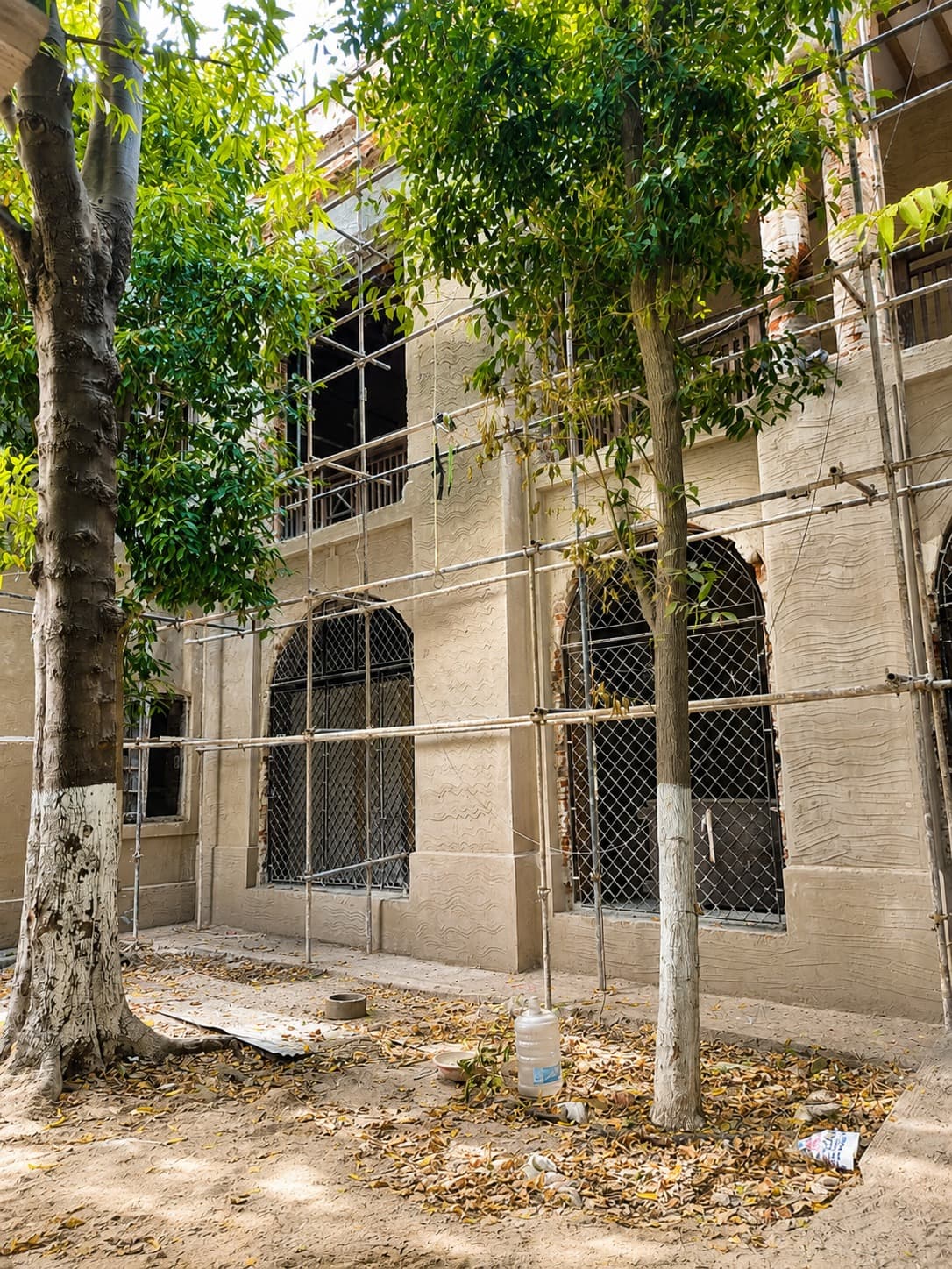 Facade — repainted elevation seen through the courtyard trees